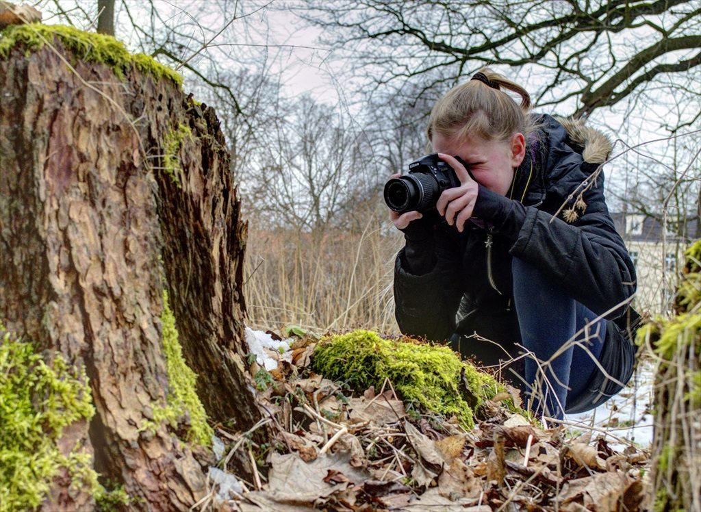 Forest Photography Schloss Leizen Germany For Kids